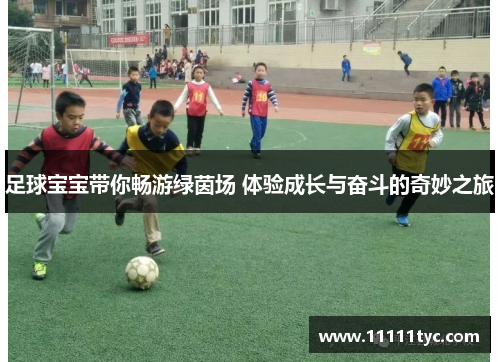 足球宝宝带你畅游绿茵场 体验成长与奋斗的奇妙之旅